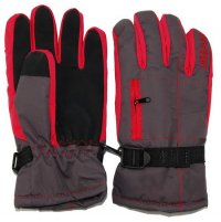 Ski Gloves