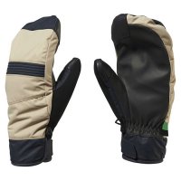 Ski Gloves